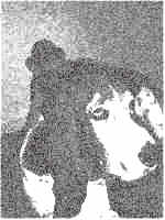 MooseMonkey2