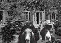 Gorgeous Greta Garbo and Fletch out on the town