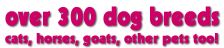 over 300 dog breeds, 36 cat breeds, 13 horse breeds, goats, and many many others