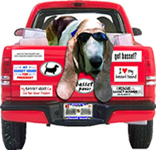 bumperstickers in many designs - find your favorite breed
