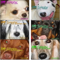 all new 2010 wall calendars